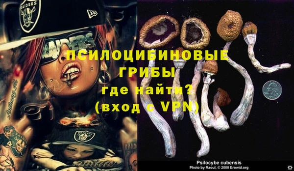 тгк Аркадак