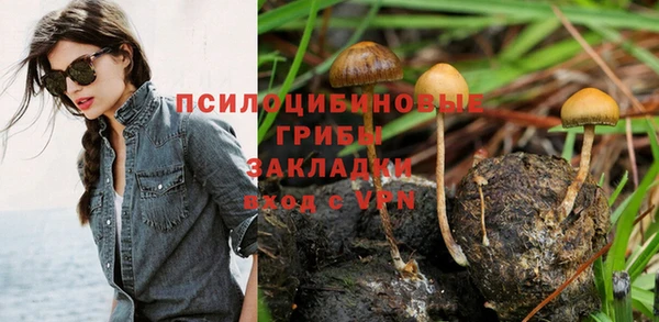тгк Аркадак