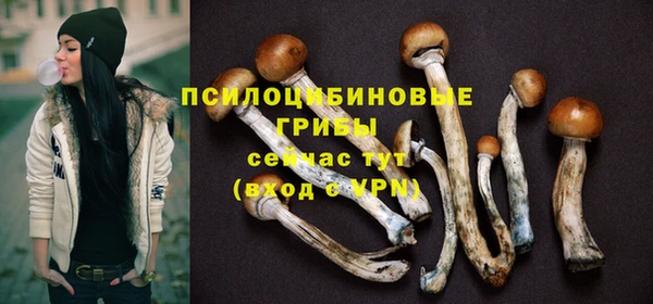 прущий лед Арсеньев