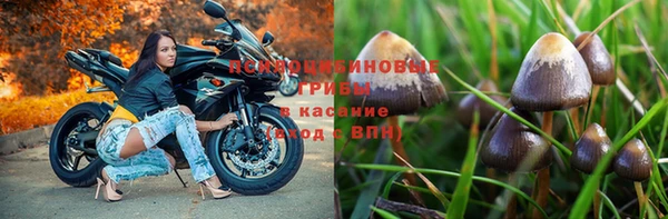 молекула духа Армянск